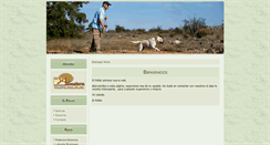 Desktop Screenshot of elpollet.com